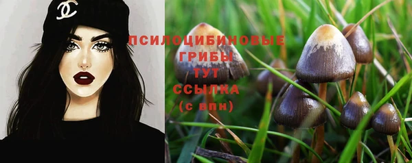 apvp Михайловка