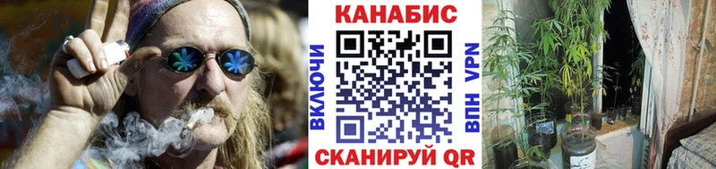 Бошки Шишки планчик  Темрюк 